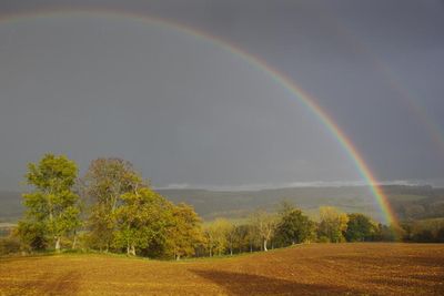 Clearing Rain