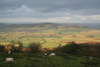 Hill Farming