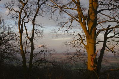 Dusk at the Mount