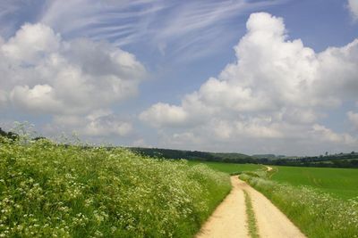 A Cotswold Way