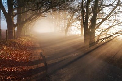 Daybreak