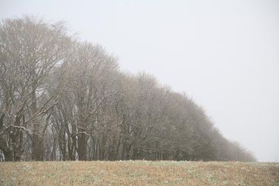 Still Winter