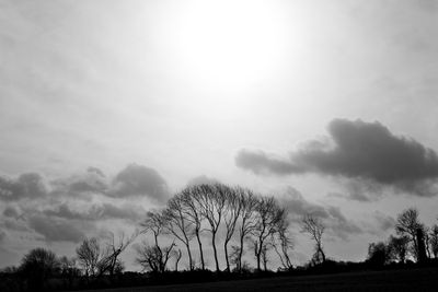 Rising Wind