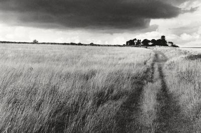 Cotswold Heights