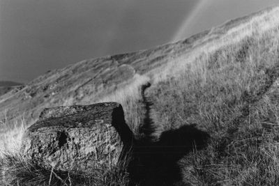 A Path to Light *