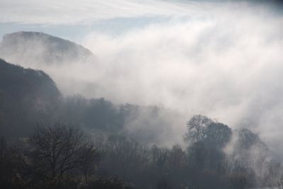 Seasonal Mist