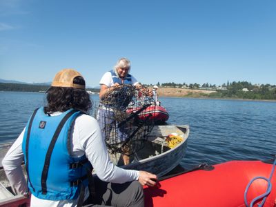 recovered crab pot