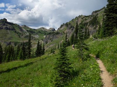 goat_rocks-50.jpg