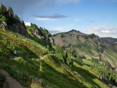 goat_rocks-56.jpg