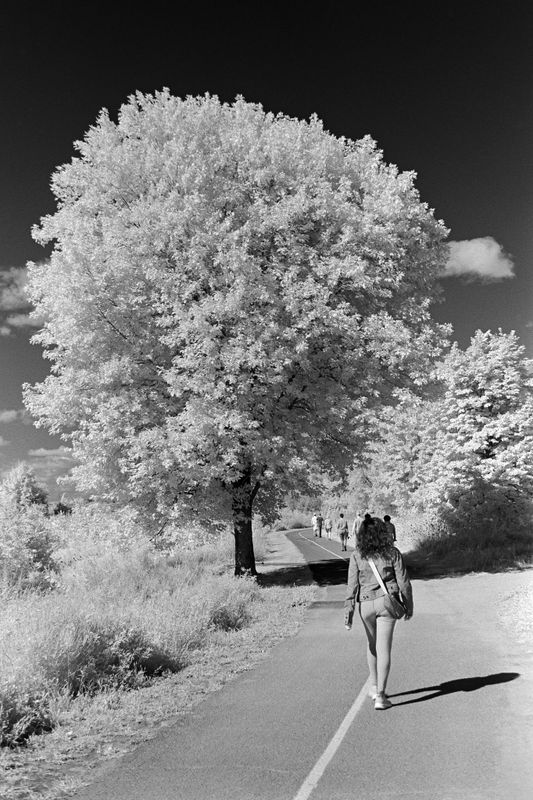 Ottawa river parkway path infrared