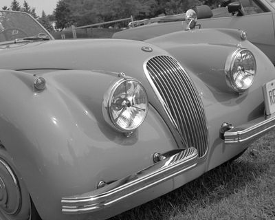 Jaguar
