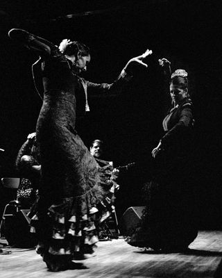 Flamencolia