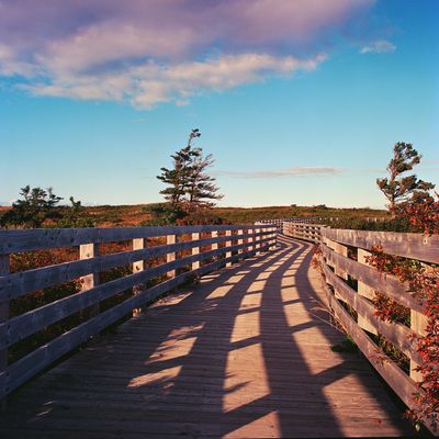 Greenwich dunes, PEI