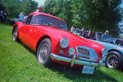 MG