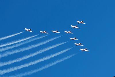 The Snowbirds