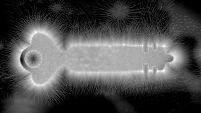 Kirlian photograph