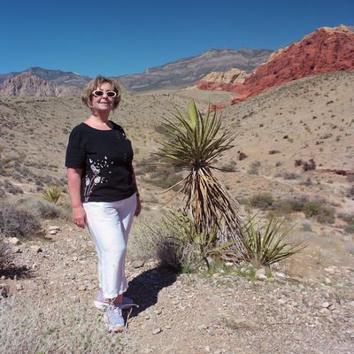 Red rock canyon