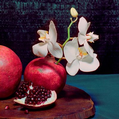 Ottawa Orchid Society show 2025