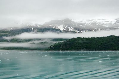 Glacier bay, Alaska