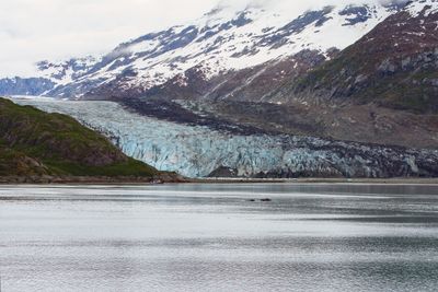 Lampblugh glacier