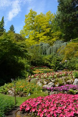Butchart gardens