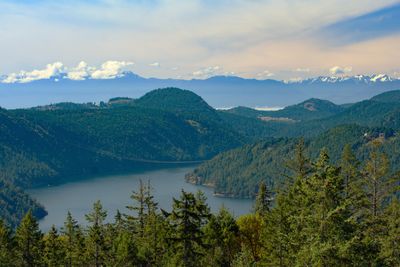 Saanich inlet seen from Malahat skywalk