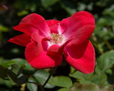 g13/94/41794/3/175653875.b5af6f5d.JPEG