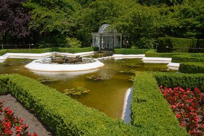 Italian garden