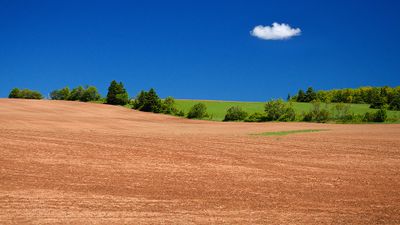 Potato field, PEI