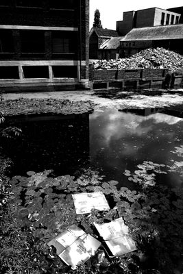 g13/94/469394/3/173822716.58e6d4c9.JPEG