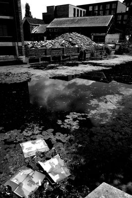 g13/94/469394/3/173822717.c70b2720.JPEG