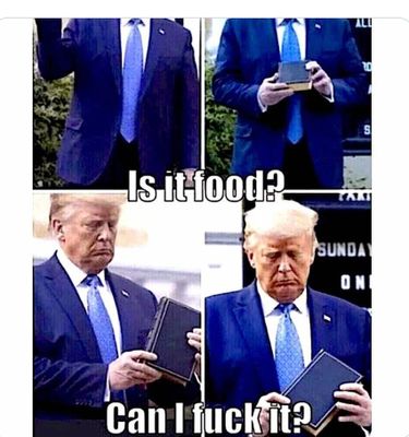 trumpled.jpg