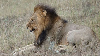 Kruger National Park
