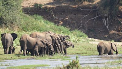 Kruger National Park