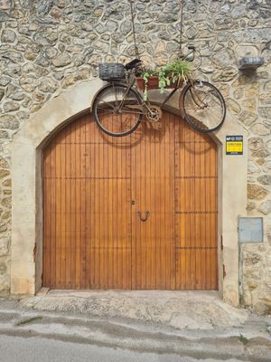 flying delivery bike