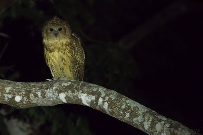 Tanzania, September-Oktober 2024 