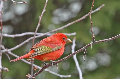 photos_2022