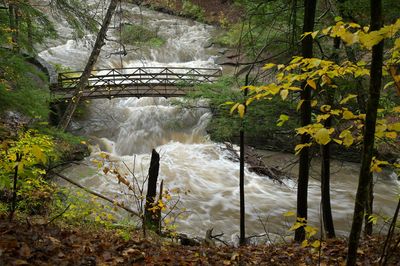 Wolf Creek, Letchworth State Park