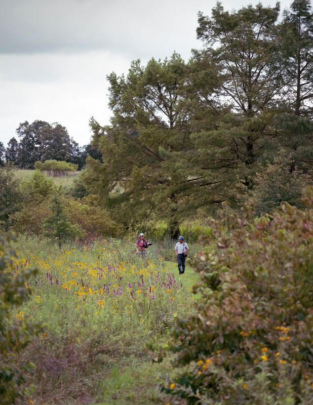 Noppadol Paothong and a student walk along the pathway.