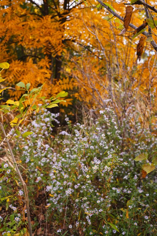 g13/94/689794/2/174154254.68f1e78b.JPEG