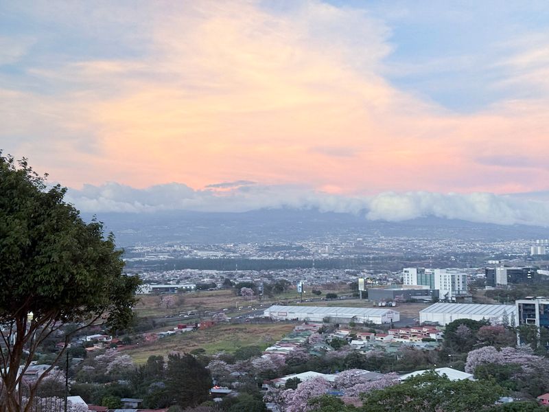 Las nubes y los arboles floreados.