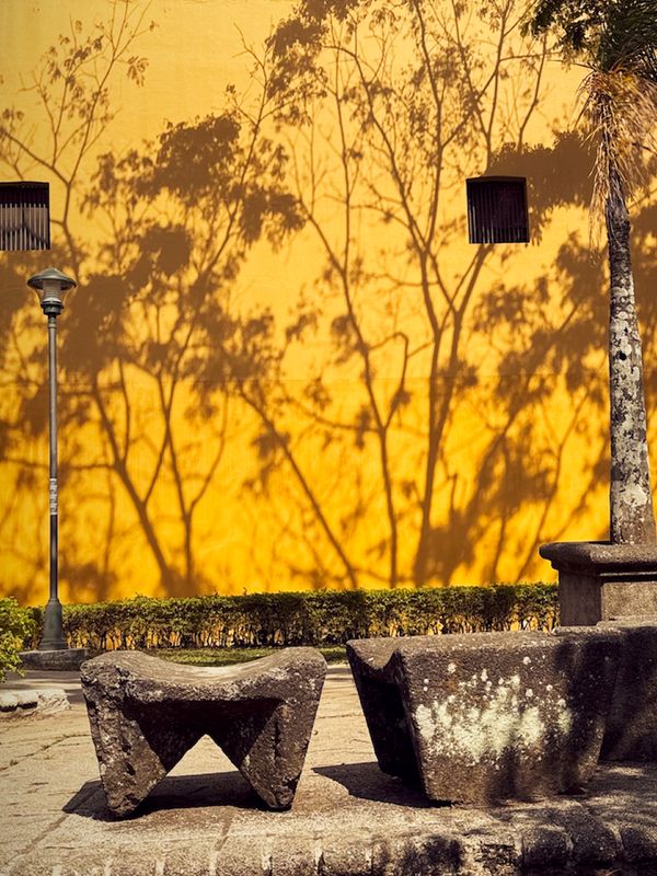 Museo Nacional. 