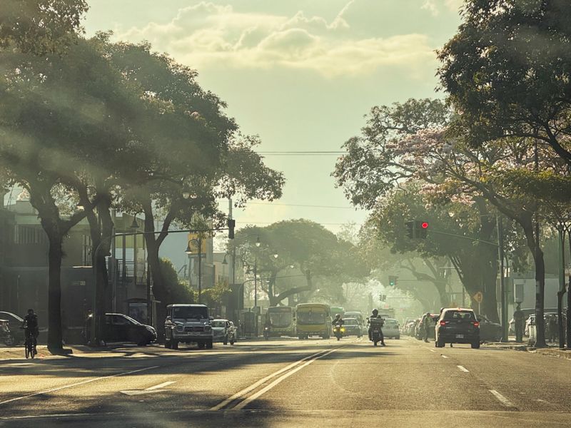Avenida Central.