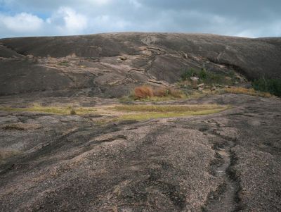 Eco System on Enchanted Rock