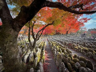 Adashino Nenbutsu-ji