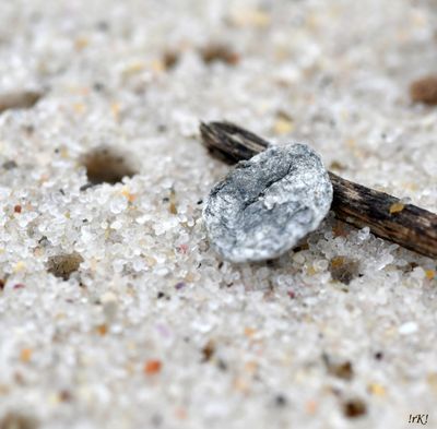 DSC_9535.jpg