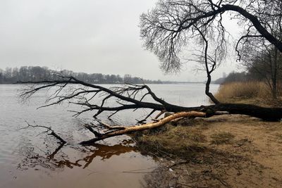 25.01.2025