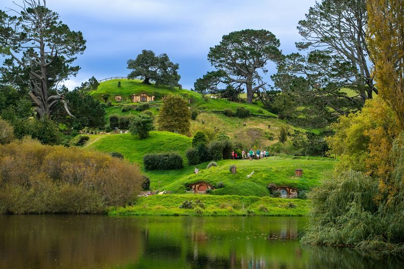 NZ-WEBSITE.jpg