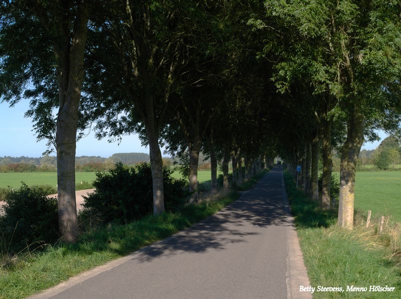 Bronkhorst - Zutphen: Veerweg naar het veer naar Brummen