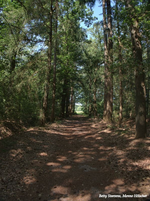 Landgoed Vilsteren
